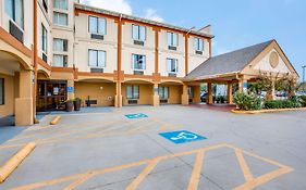 Comfort Inn And Suites Dallas Market Center
